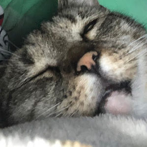 Meet your Posher, Calise